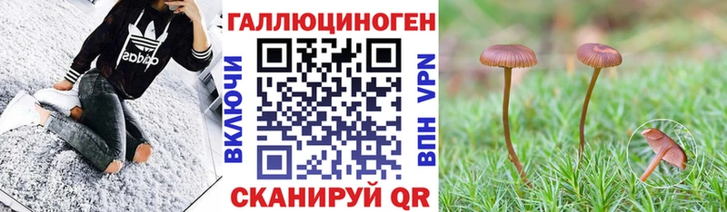 Галлюциногенные грибы мицелий  ссылка на мегу зеркало  Юрюзань 